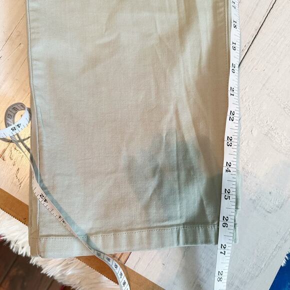 PISTOLA High Rise Tammy Pant Ankle Trouser Sea Mist Green Plus Size 32 - Picture 12 of 12